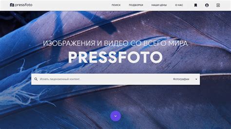 фотостоки для заробітку|7 фотостоков для заработка